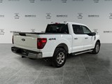 2025 Ford F-150 XLT image 5