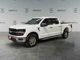 2025 Ford F-150 XLT image 1