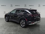 2025 Hyundai Tucson Preferred w/Trend Package image 3