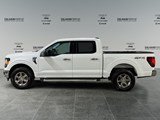 2025 Ford F-150 XLT image 2