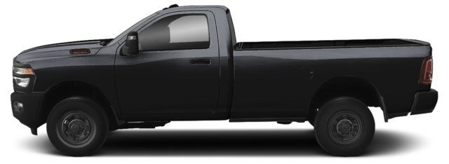 Black [Black]